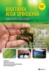 Bioetanol Alga Spirogyra, Bahan Bakar Masa Depan